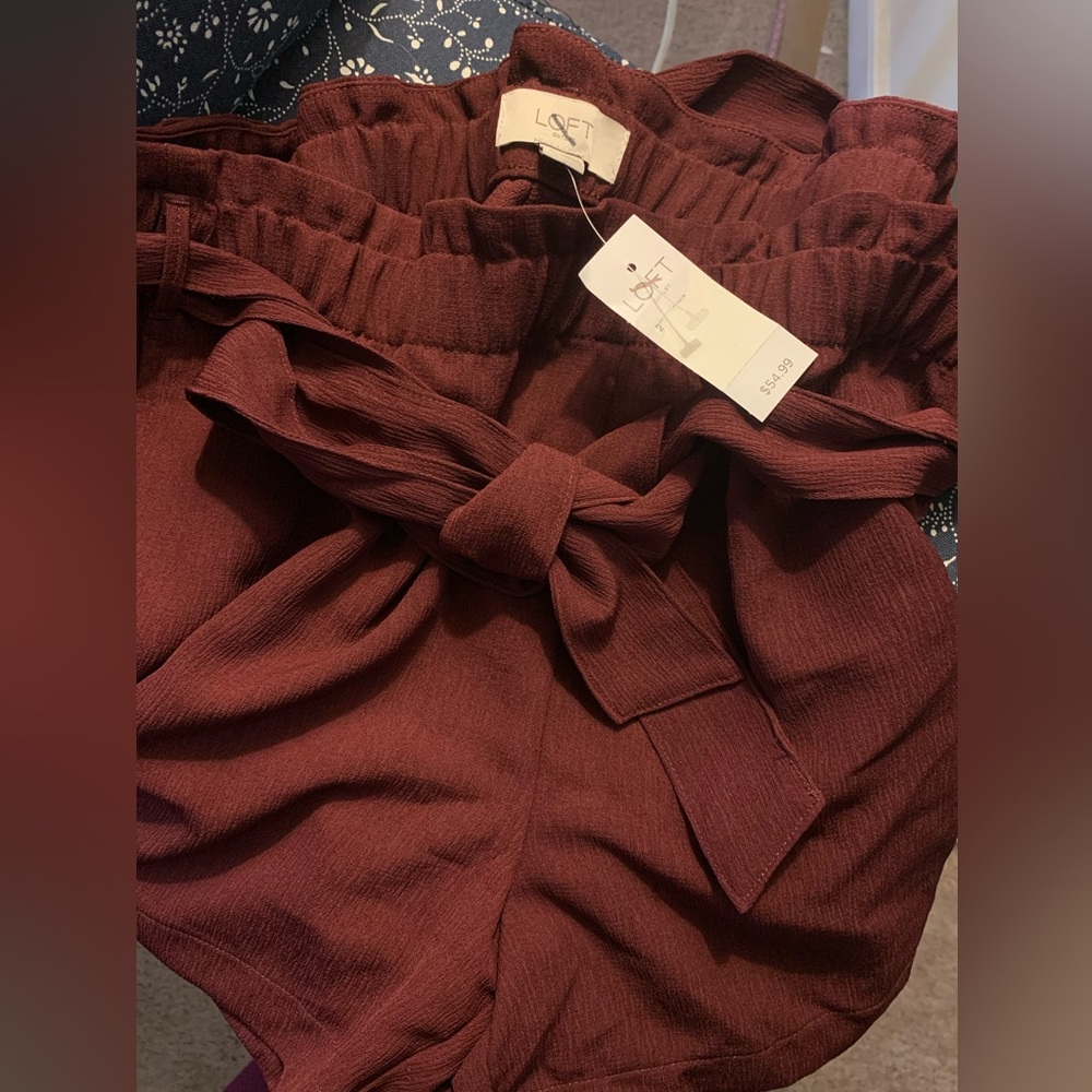 NWT LOFT Paper Bag Shorts Sz Medium Maroon